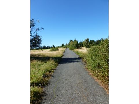 Foto 91